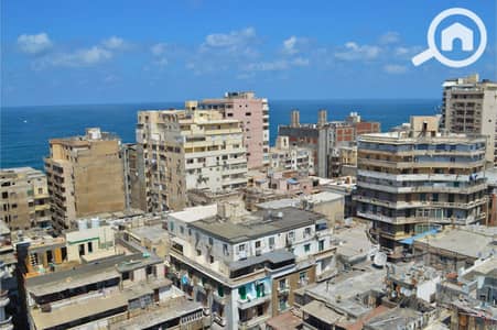 فلیٹ 3 غرف نوم للبيع في كامب شيزار، الإسكندرية - تصميم بدون عنوان_20260912_063001_٠٠٠٠. png فلیٹ 3 غرف نوم للبيع في كامب شيزار، الإسكندرية - تصميم بدون عنوان_20260912_063001_٠٠٠٠. png