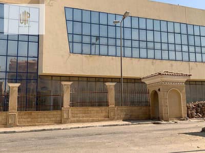 فلیٹ 3 غرف نوم للبيع في القاهرة الجديدة، القاهرة - WhatsApp Image 2026-09-10 at 8.21. 54 AM. jpeg فلیٹ 3 غرف نوم للبيع في القاهرة الجديدة، القاهرة - WhatsApp Image 2026-09-10 at 8.21. 54 AM. jpeg