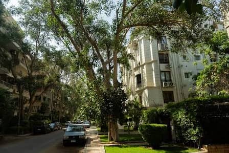 دوبلكس 4 غرف نوم للبيع في المعادي، القاهرة - Ground floor Duplex for sale in one of the finest streets of Maadi دوبلكس 4 غرف نوم للبيع في المعادي، القاهرة - Ground floor Duplex for sale in one of the finest streets of Maadi
