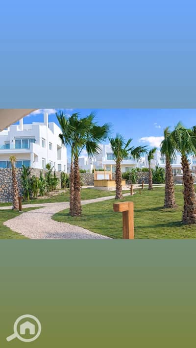 3 Bedroom Chalet for Sale in North Coast, Matruh - WhatsApp Image 2026-09-12 at 4.15. 29 PM. jpeg 3 Bedroom Chalet for Sale in North Coast, Matruh - WhatsApp Image 2026-09-12 at 4.15. 29 PM. jpeg