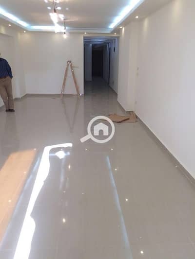 3 Bedroom Apartment for Rent in Sidi Gaber, Alexandria - 52bd2ffc-36b3-4b48-bf9c-1fd5dda4df58. jpg 3 Bedroom Apartment for Rent in Sidi Gaber, Alexandria - 52bd2ffc-36b3-4b48-bf9c-1fd5dda4df58. jpg
