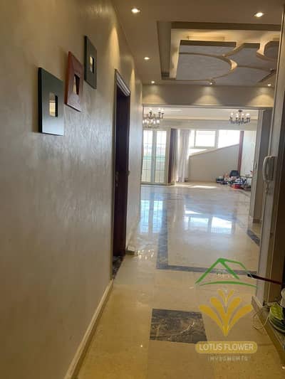 4 Bedroom Apartment for Rent in New Cairo, Cairo - 1001246837. jpg 4 Bedroom Apartment for Rent in New Cairo, Cairo - 1001246837. jpg