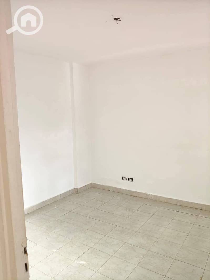 4 643077. jpg
