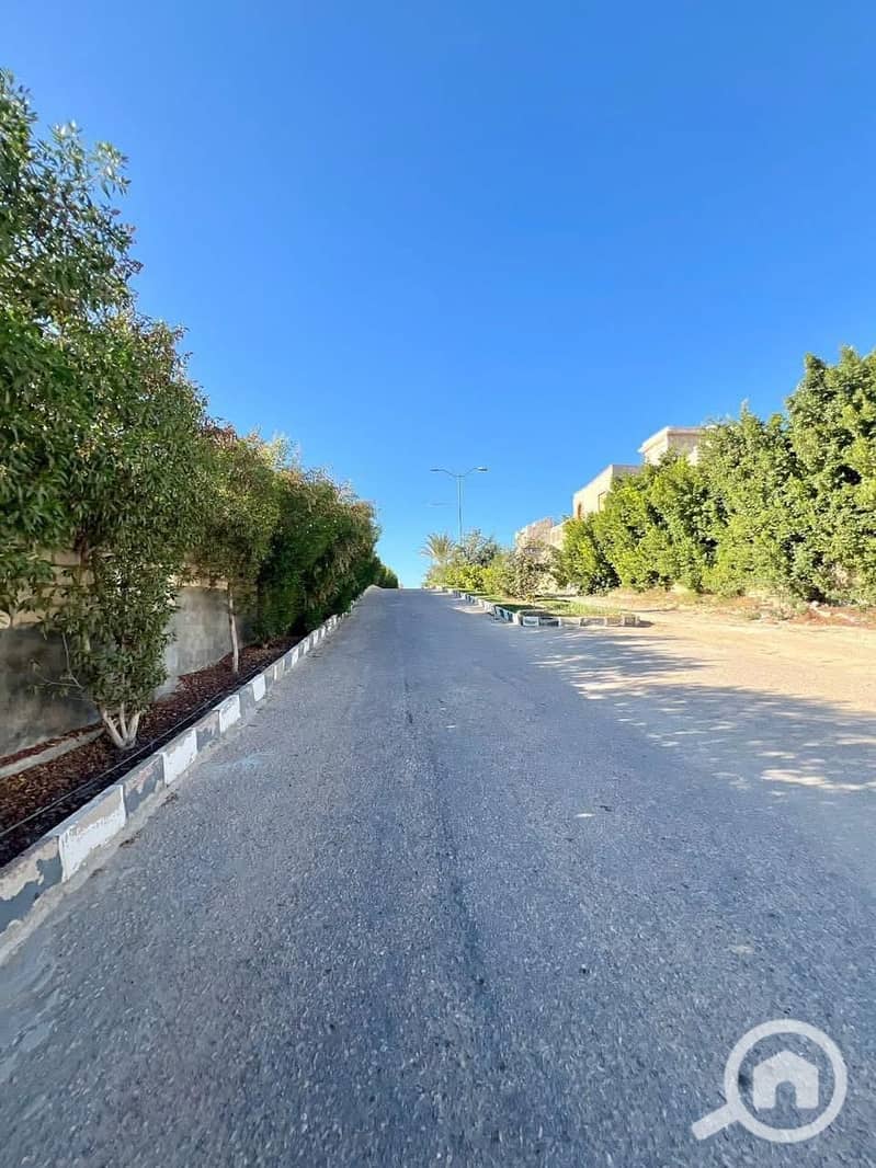 13 IMG_1505. jpg