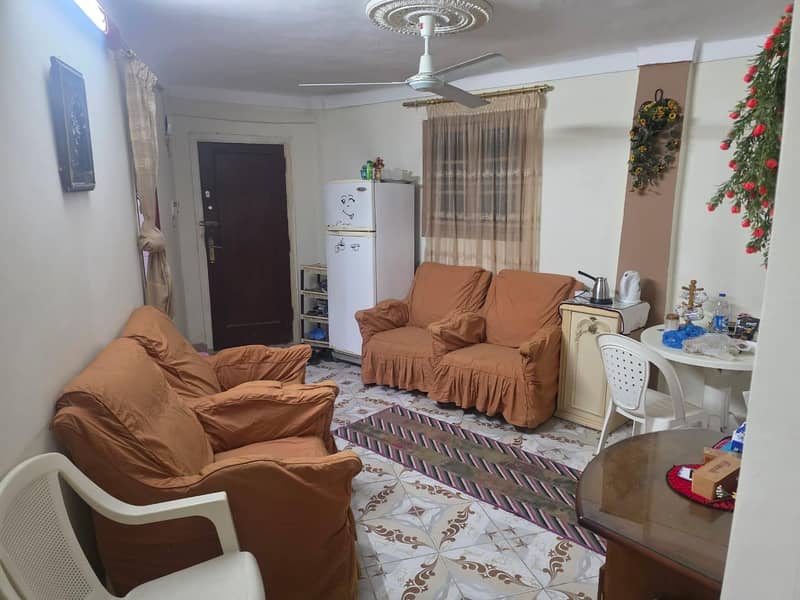 ميامي اسكندريه ميامي اسكندريه