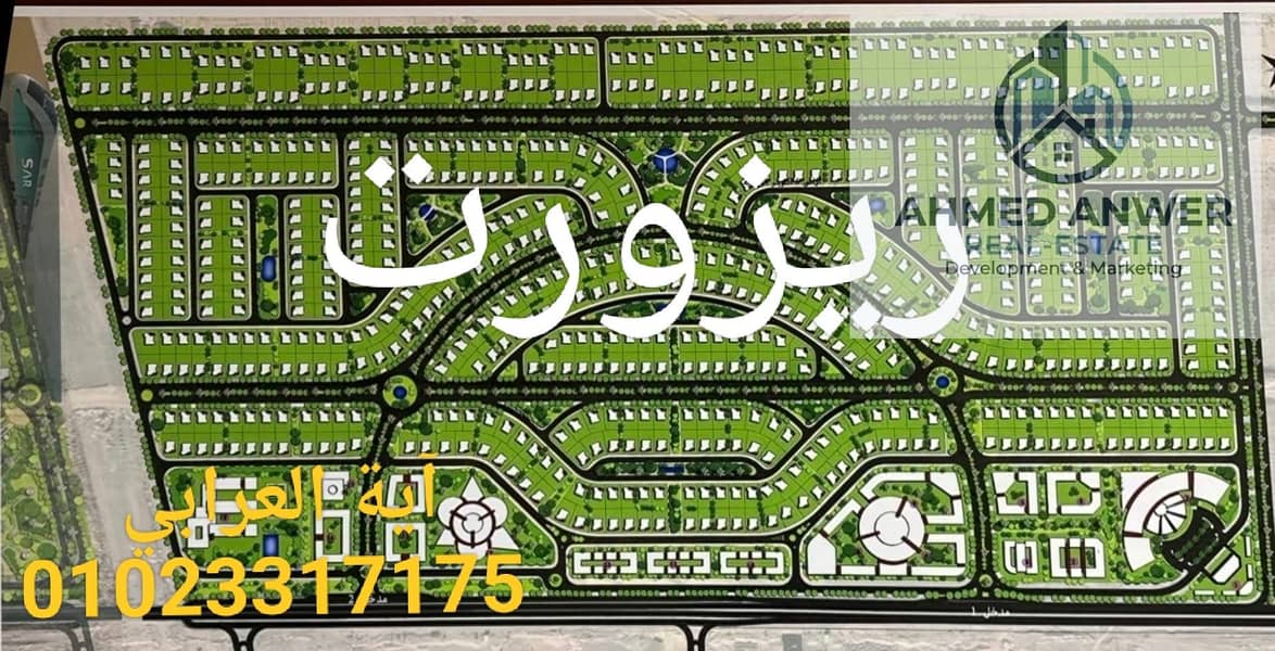 4 92431. jpg