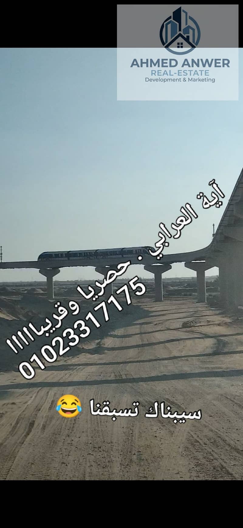 7 103590. jpg
