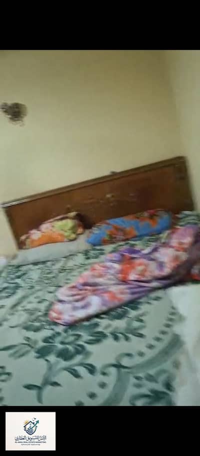 2 Bedroom Apartment for Rent in Maadi, Cairo - 1000276853. jpg 2 Bedroom Apartment for Rent in Maadi, Cairo - 1000276853. jpg