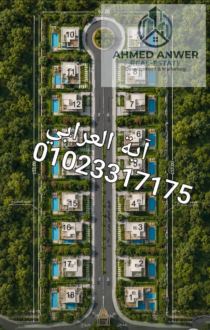 3 104009. jpg
