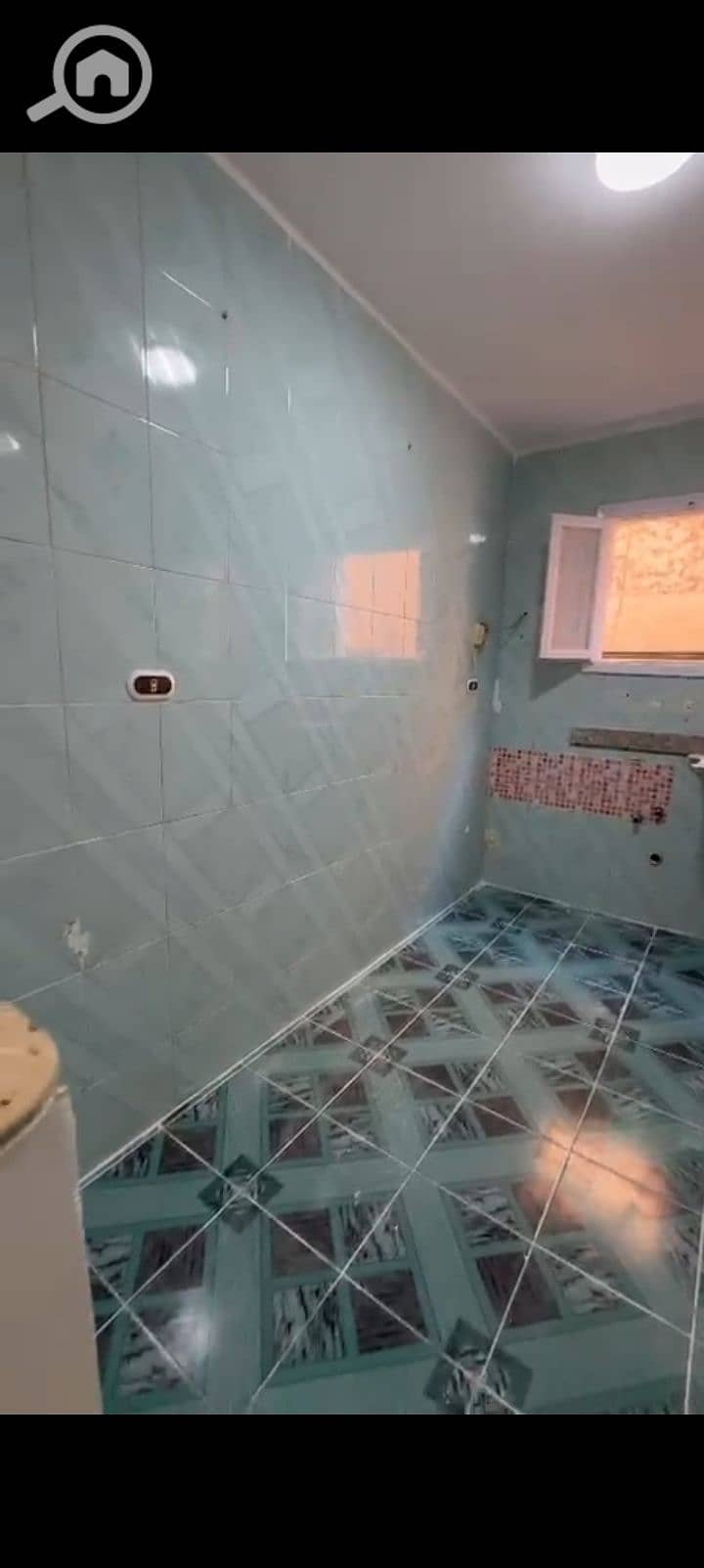 6 1001108382. jpg