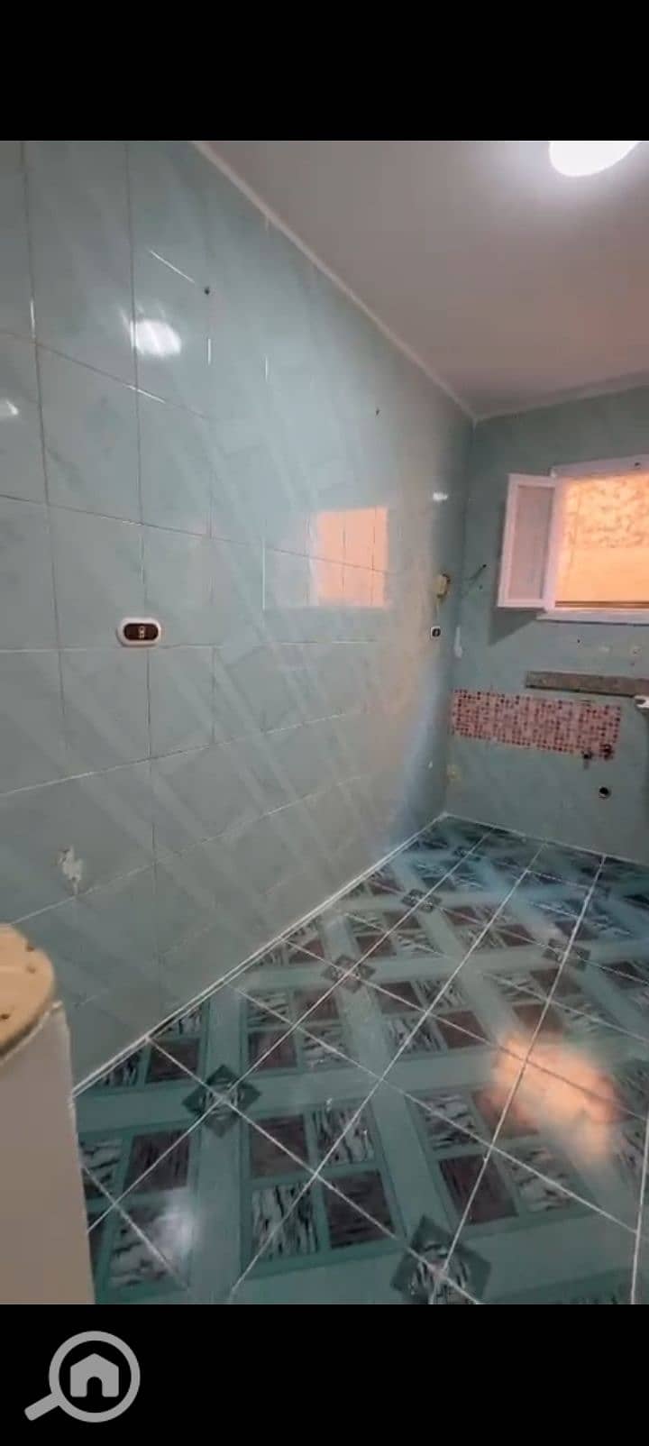 6 1001108382. jpg