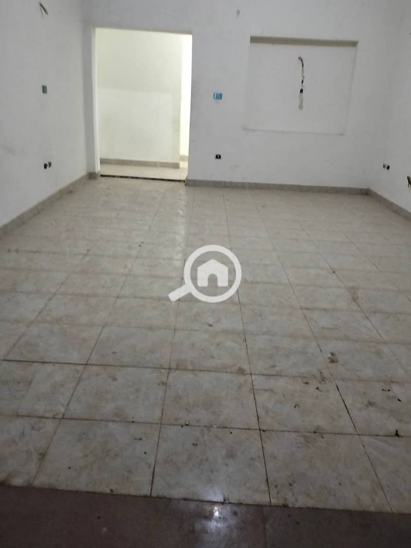 5 148163. jpg