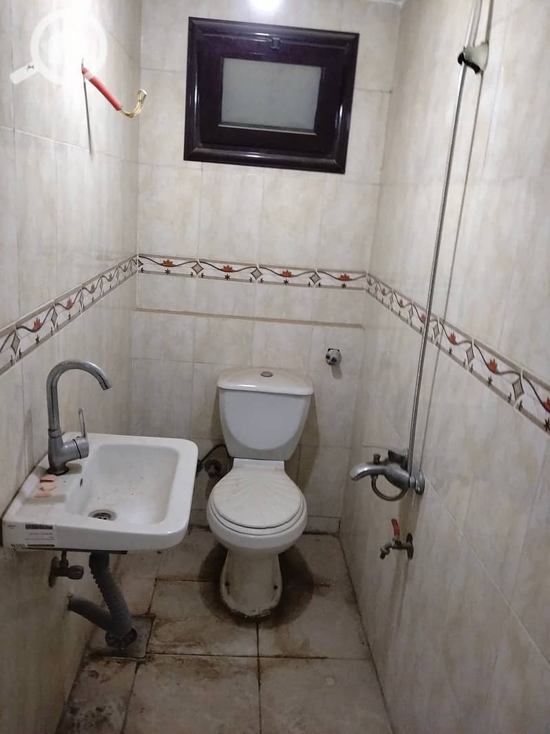 7 148165. jpg