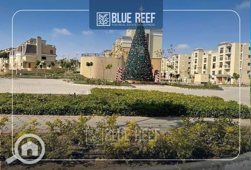 5 o;p'o. jpg