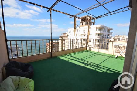 4 Bedroom Duplex for Rent in Camp Caesar, Alexandria - تصميم بدون عنوان_20260913_032743_٠٠٠٠. png 4 Bedroom Duplex for Rent in Camp Caesar, Alexandria - تصميم بدون عنوان_20260913_032743_٠٠٠٠. png