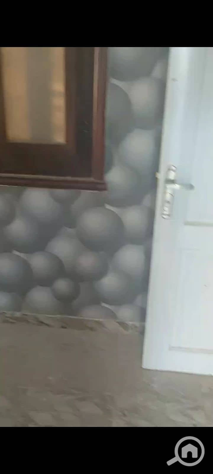 5 1000092528. jpg