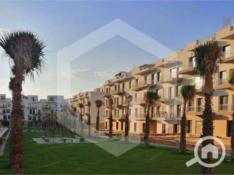 5 Courtyard Sodic 1. jpg