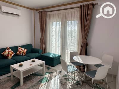 1 Bedroom Apartment for Rent in New Cairo, Cairo - a0d773b5-8df0-4c5d-852d-497fc151cd8a. jpg 1 Bedroom Apartment for Rent in New Cairo, Cairo - a0d773b5-8df0-4c5d-852d-497fc151cd8a. jpg