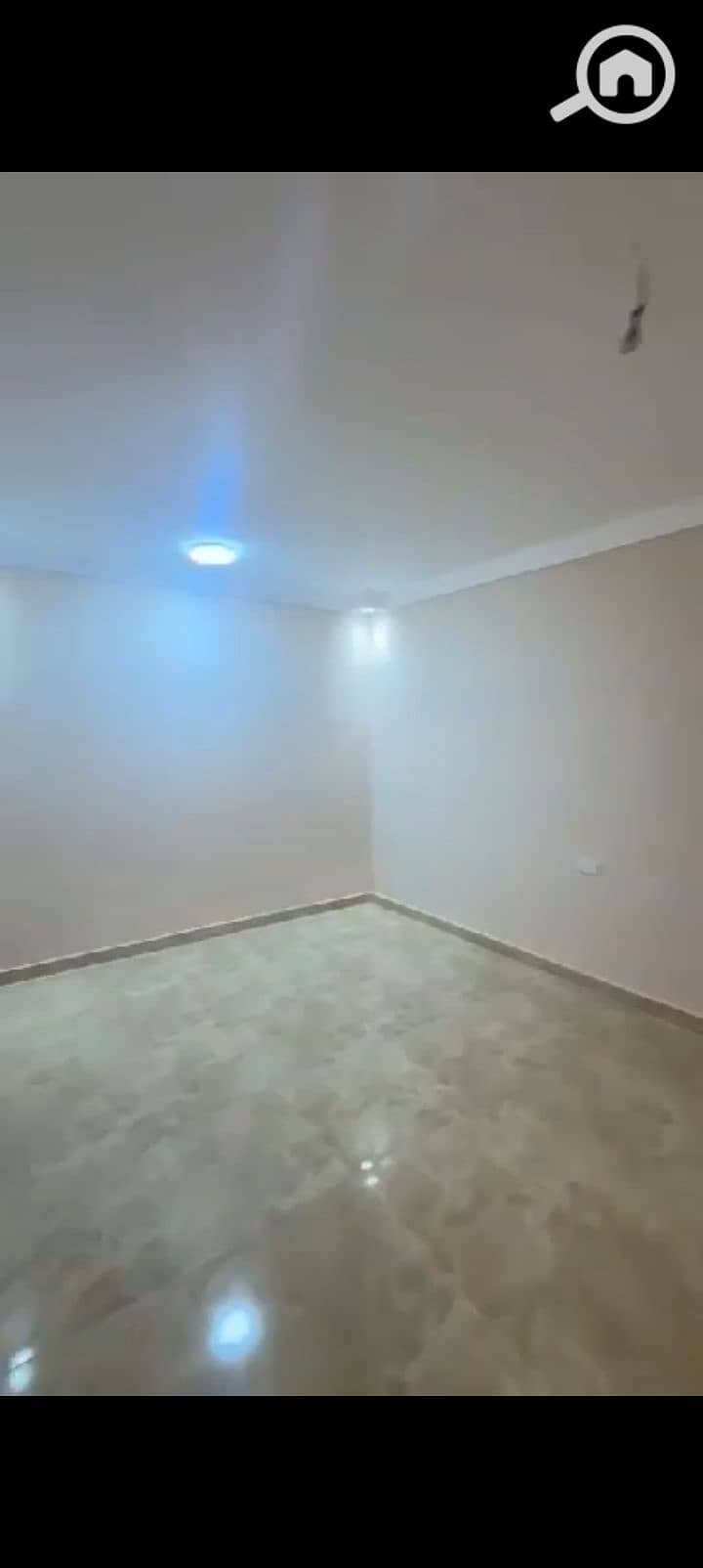 5 1000347853. jpg