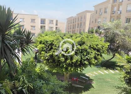 3 Bedroom Flat for Sale in New Cairo, Cairo - IMG-20260912-WA0021. jpg