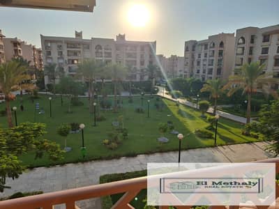 3 Bedroom Apartment for Rent in New Cairo, Cairo - 4d69a323-5ab5-469e-8dd4-4e5da59ee4c4. jpg