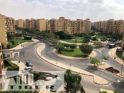 3 Bedroom Apartment for Rent in Madinaty, Cairo - 92526. jpg 3 Bedroom Apartment for Rent in Madinaty, Cairo - 92526. jpg