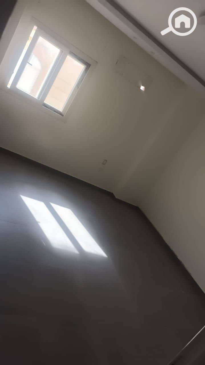 5 219994. jpg
