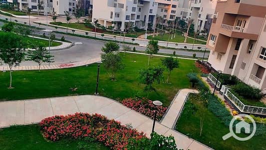 3 Bedroom Flat for Rent in Madinaty, Cairo - 1001021155. jpg