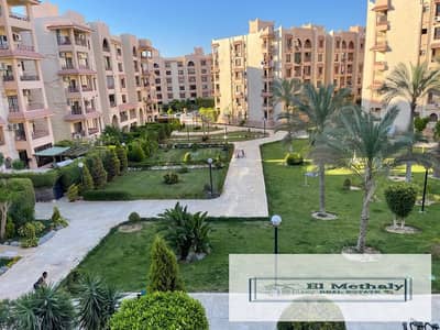 3 Bedroom Flat for Rent in New Cairo, Cairo - WhatsApp Image 2026-09-13 at 1.54. 21 PM (5). jpeg