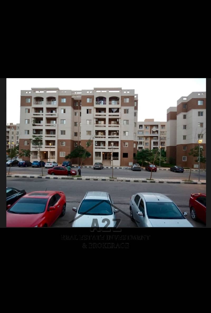 4 1001829315. jpg