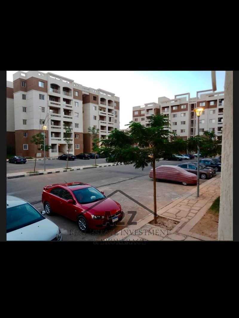 11 1001829316. jpg