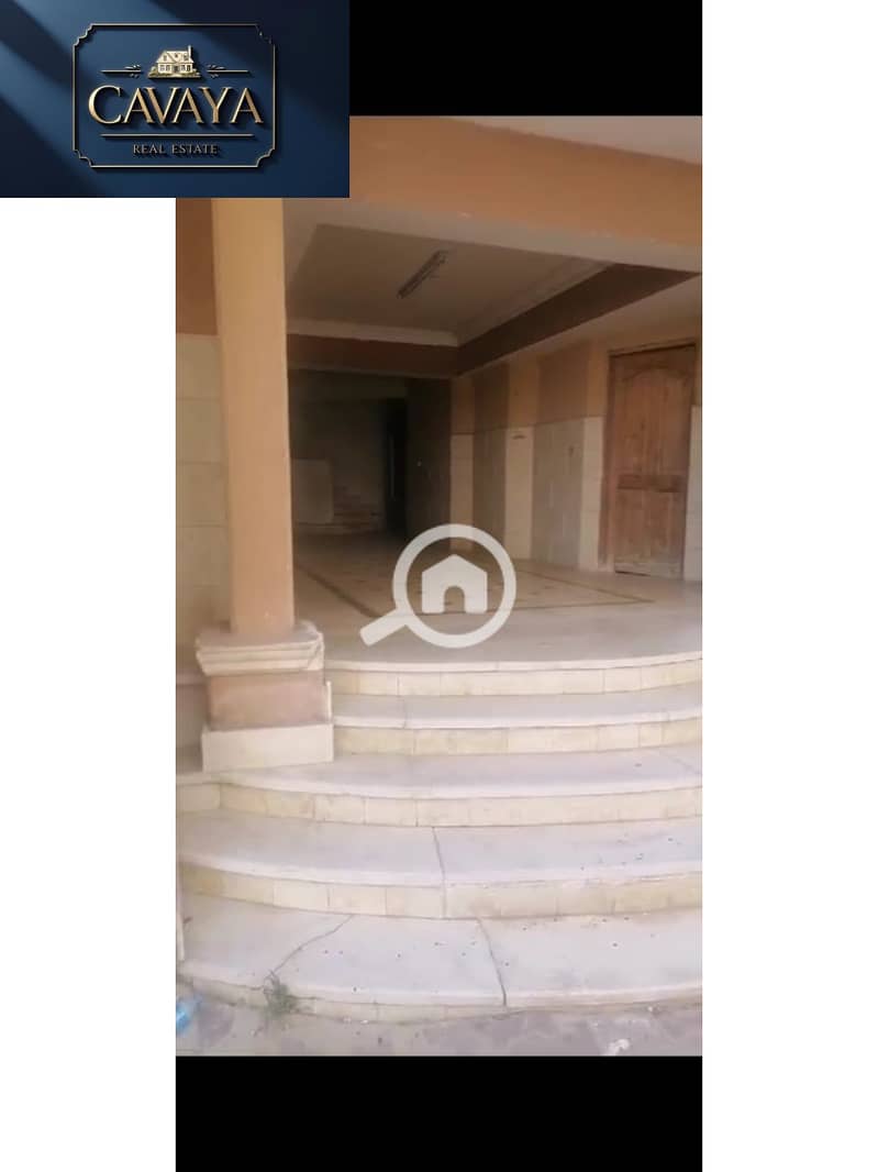 2 Untitled design (6). png