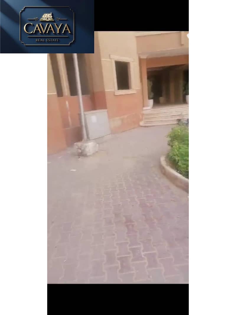 3 Untitled design (9). png