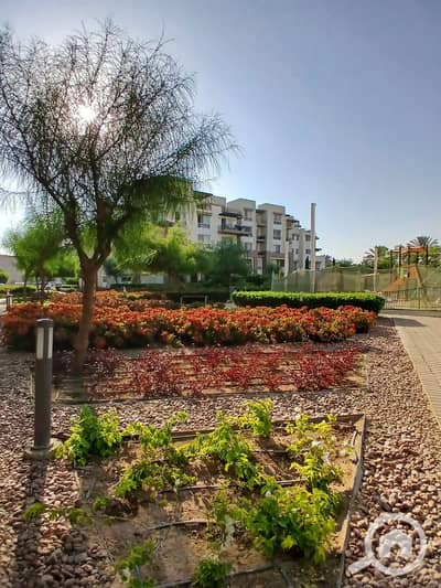 3 Bedroom Penthouse for Rent in Mokattam, Cairo - 79222b49-55ae-473a-82e4-1d0bbb57b93b. jpg 3 Bedroom Penthouse for Rent in Mokattam, Cairo - 79222b49-55ae-473a-82e4-1d0bbb57b93b. jpg
