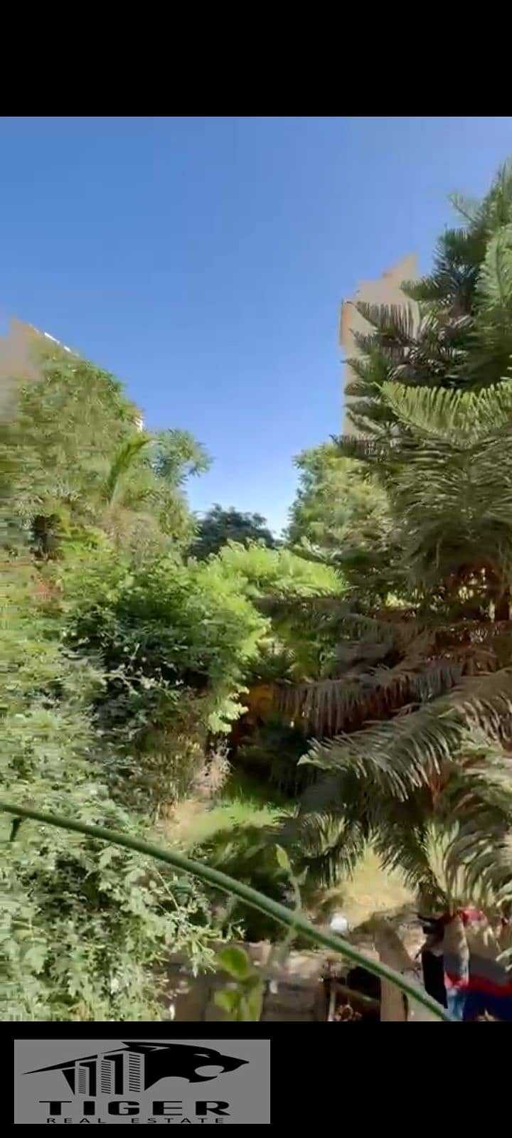 7 92793. jpg
