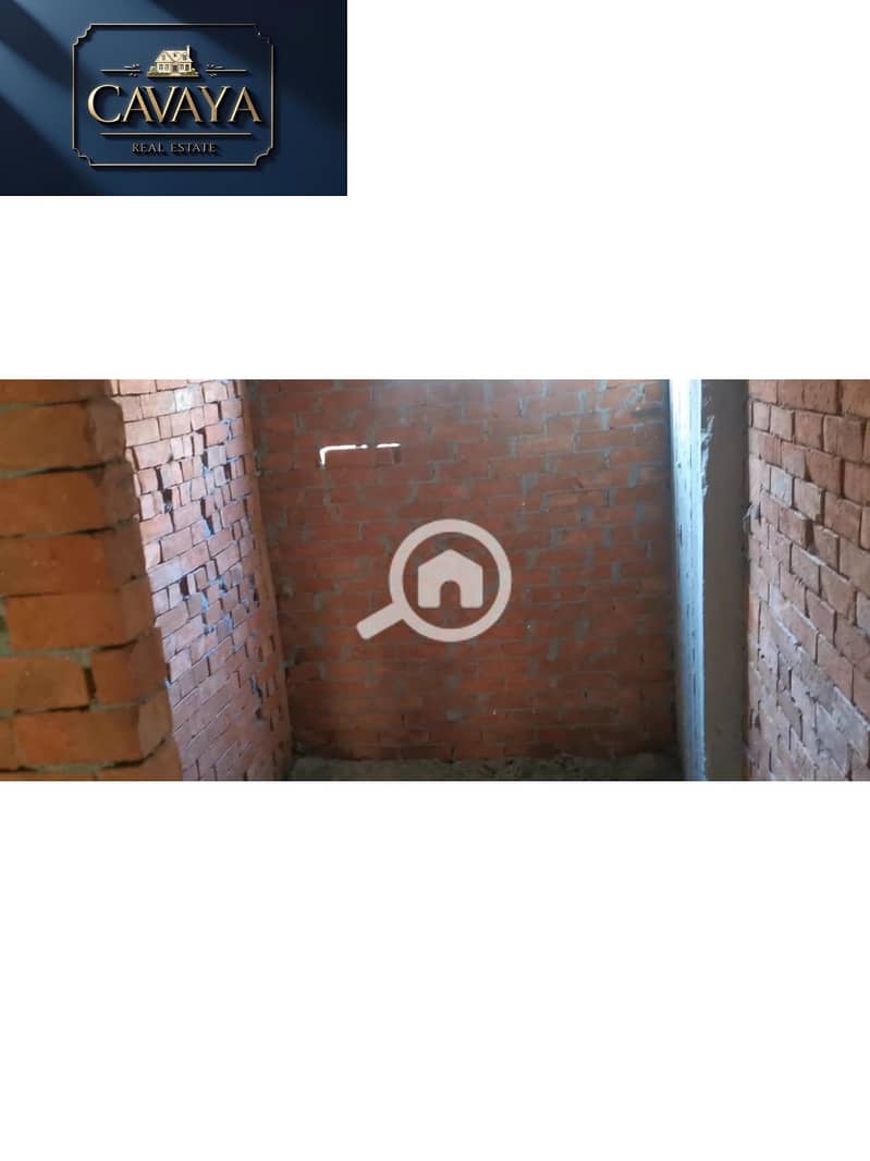 11 Untitled design (11). png