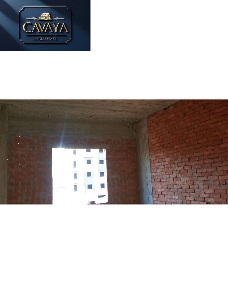 13 Untitled design (13). png