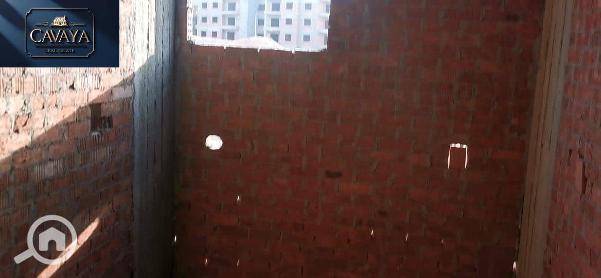 18 Untitled design (18). png