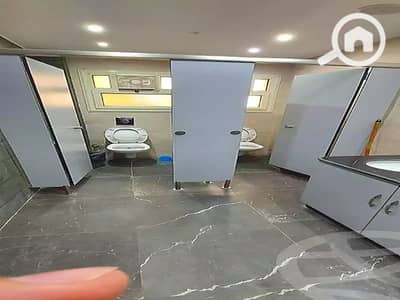 شقة 10+ غرف نوم للايجار في مصر الجديدة، القاهرة - WhatsApp Image 2026-09-13 at 3.45. 51 PM (1). jpeg شقة 10+ غرف نوم للايجار في مصر الجديدة، القاهرة - WhatsApp Image 2026-09-13 at 3.45. 51 PM (1). jpeg