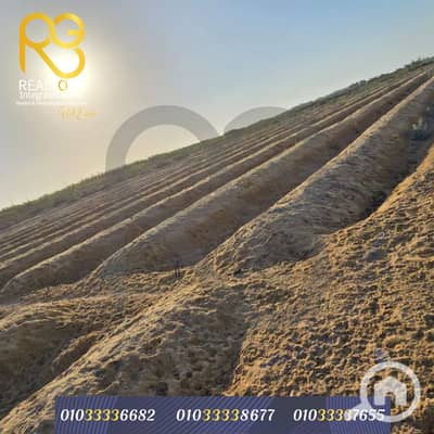 Agricultural Land for Sale in Wadi al-Natrun, Beheira - 2. png