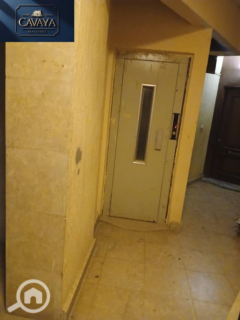 11 Untitled design (11). png
