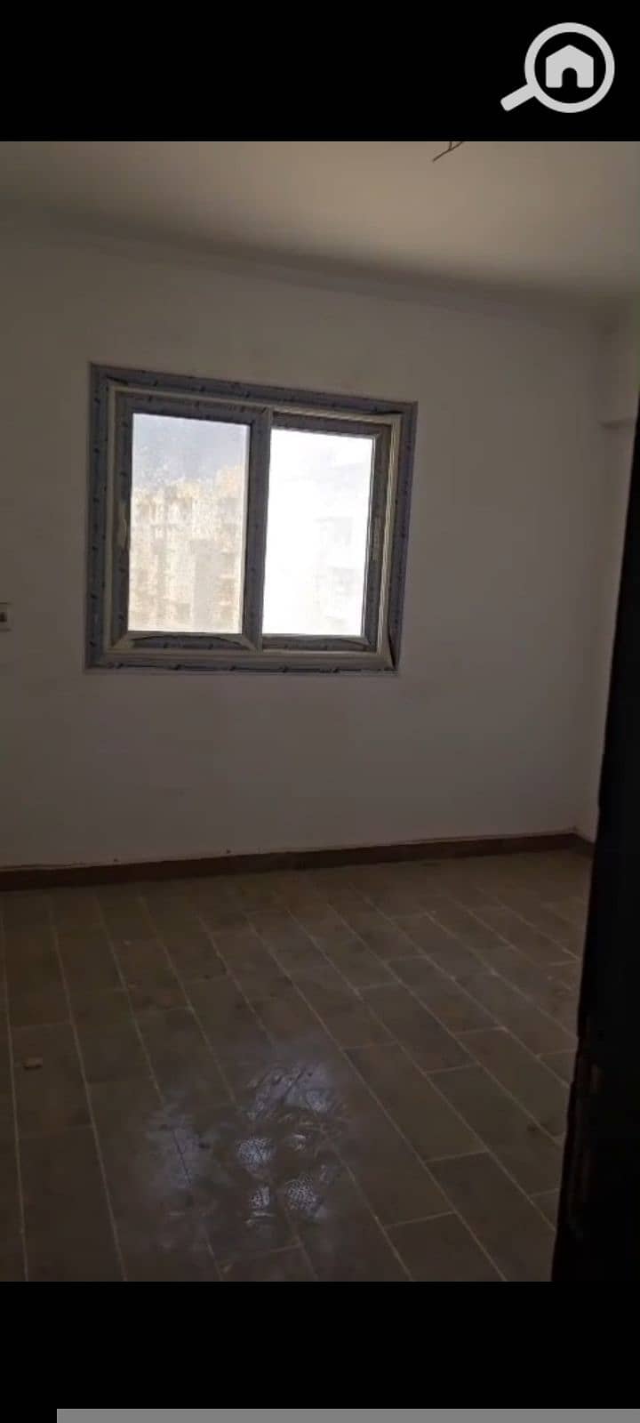 7 1000411625. jpg