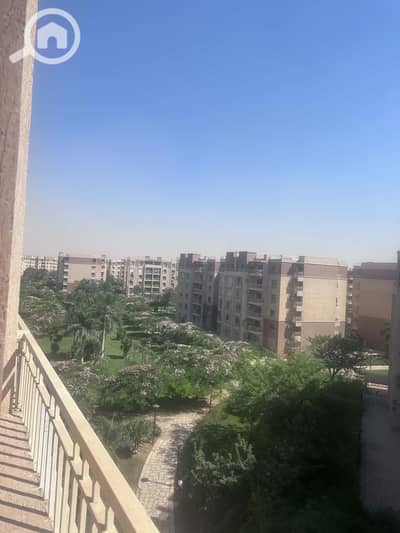 3 Bedroom Flat for Rent in Madinaty, Cairo - Messenger_creation_C6795CD0-50D6-47DD-A92C-55F49829B095. jpeg 3 Bedroom Flat for Rent in Madinaty, Cairo - Messenger_creation_C6795CD0-50D6-47DD-A92C-55F49829B095. jpeg