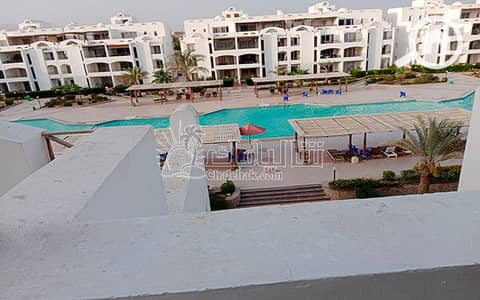 شاليه 2 غرفة نوم للبيع في العين السخنة، السويس - شاليه-للبيع-منتجع-باليميرا-العين-السخنة-chalet-for-sale-Palmyra-resort-ain-sokhna- (4). jpg شاليه 2 غرفة نوم للبيع في العين السخنة، السويس - شاليه-للبيع-منتجع-باليميرا-العين-السخنة-chalet-for-sale-Palmyra-resort-ain-sokhna- (4). jpg