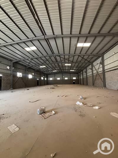 Industrial for Rent in Badr City, Cairo - WhatsApp Image 2026-09-12 at 1.59. 54 PM. jpeg Industrial for Rent in Badr City, Cairo - WhatsApp Image 2026-09-12 at 1.59. 54 PM. jpeg