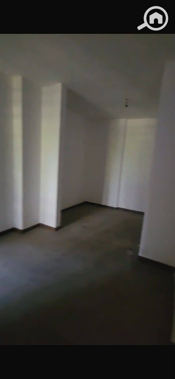 3 1000294868. jpg