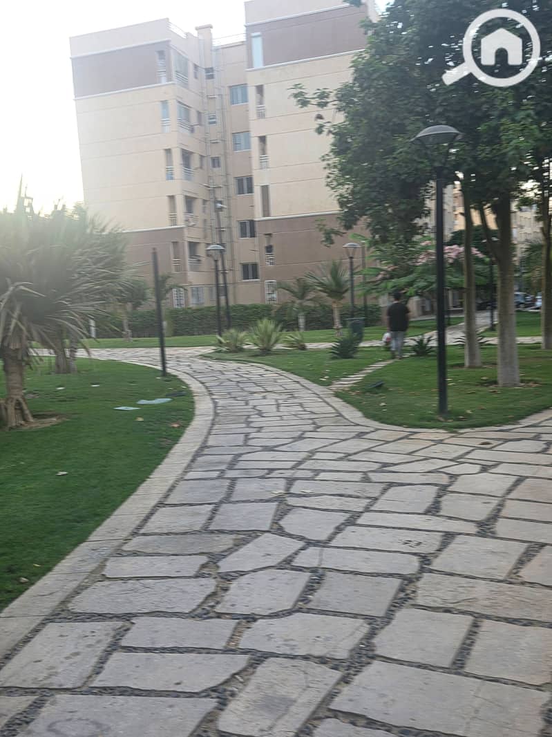 4 1000922195. jpg