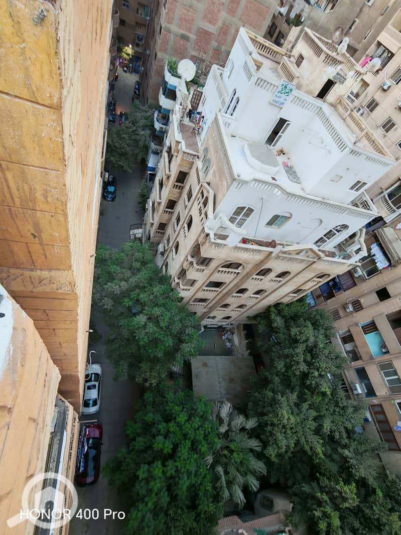 5 276374. jpg