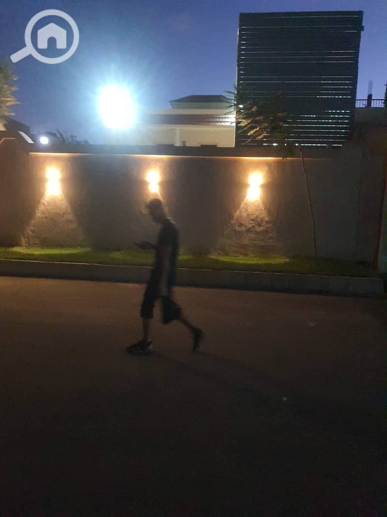8 422462. jpg