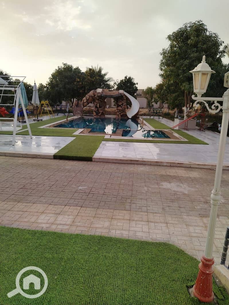 5 98279. jpg